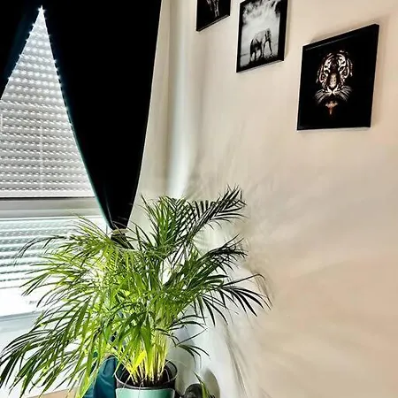 Apartment The Jungle Senso
