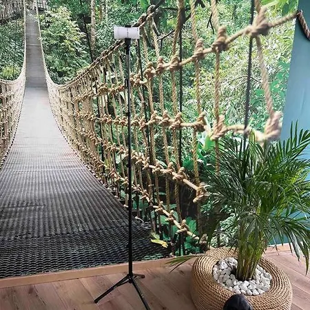 Apartment The Jungle Senso *